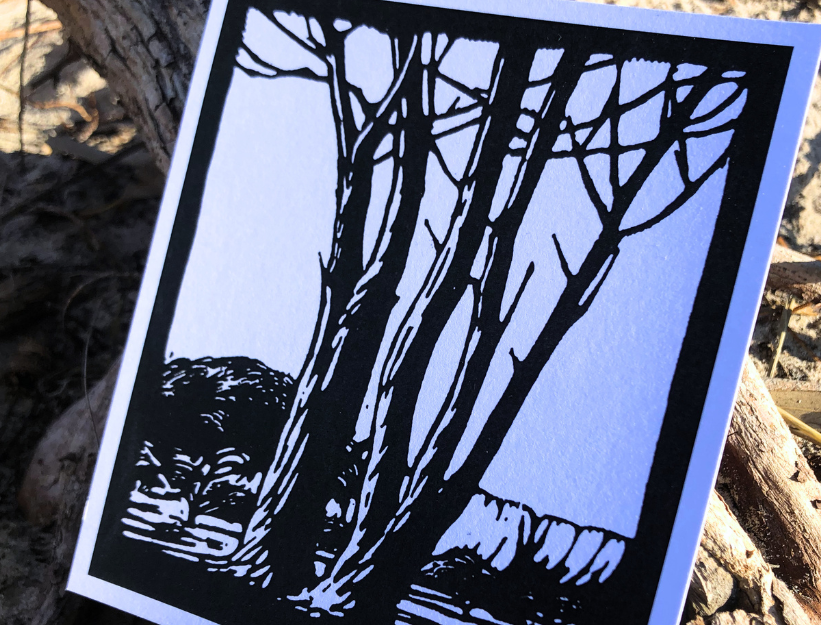 Art Box | Pierneef - Image 9